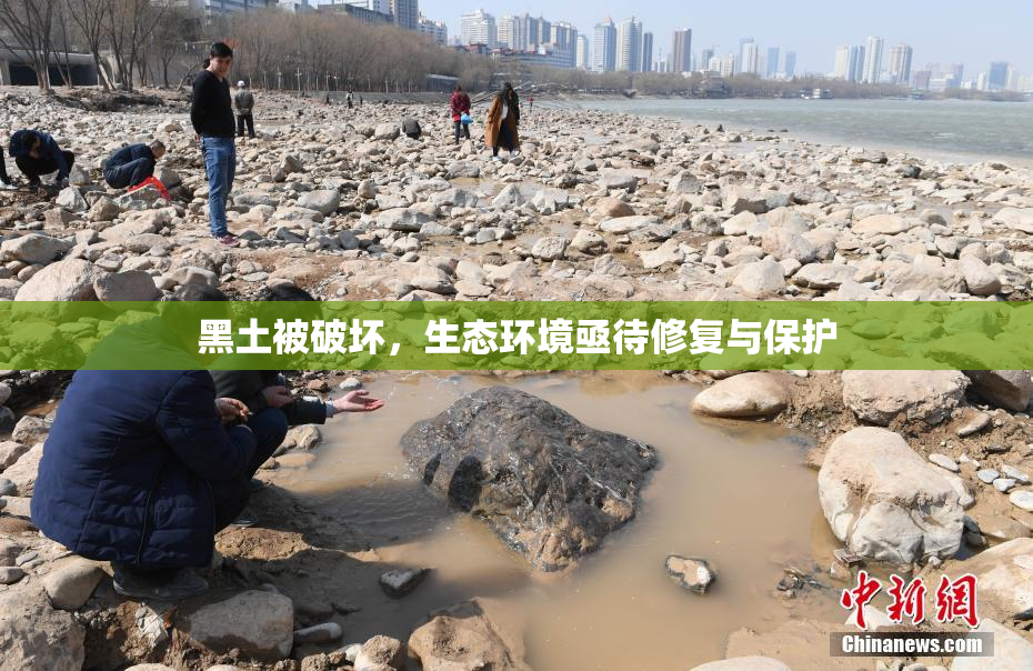 黑土被破坏，生态环境亟待修复与保护