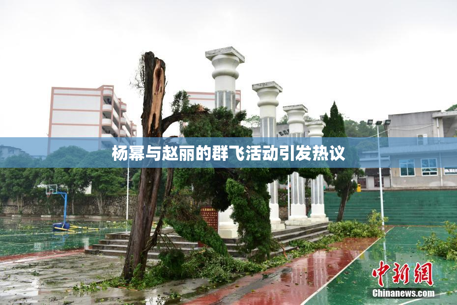 杨幂与赵丽的群飞活动引发热议