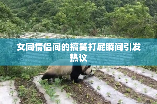 女同情侣间的搞笑打屁瞬间引发热议