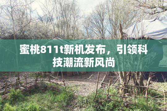 蜜桃811t新机发布，引领科技潮流新风尚