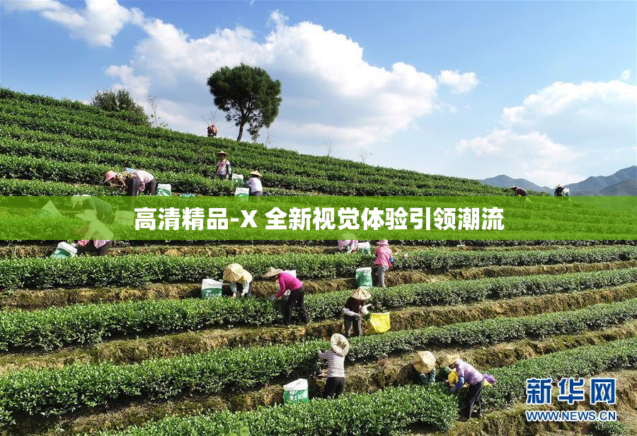 高清精品-X 全新视觉体验引领潮流
