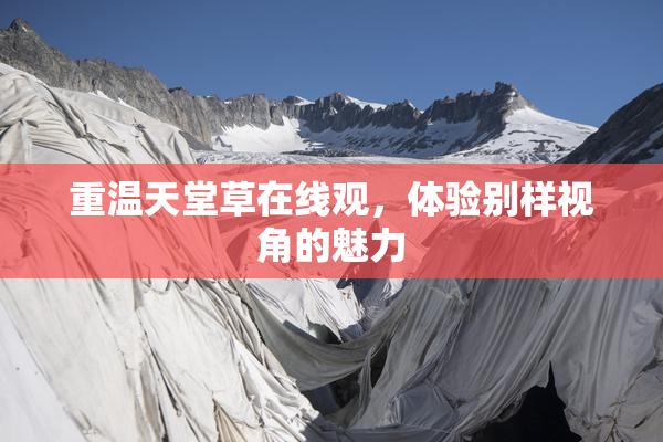 重温天堂草在线观，体验别样视角的魅力
