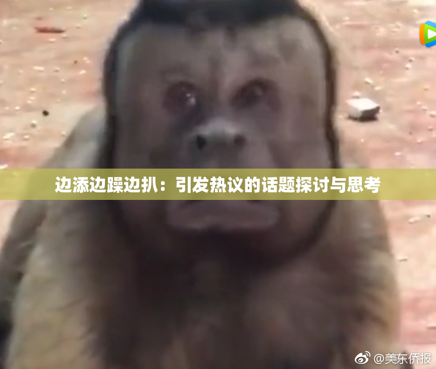 边添边躁边扒：引发热议的话题探讨与思考