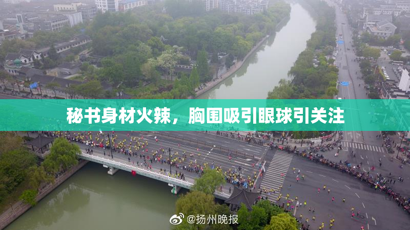 秘书身材火辣，胸围吸引眼球引关注