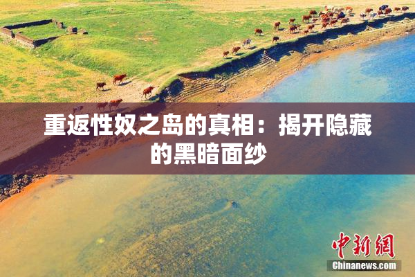 重返性奴之岛的真相：揭开隐藏的黑暗面纱
