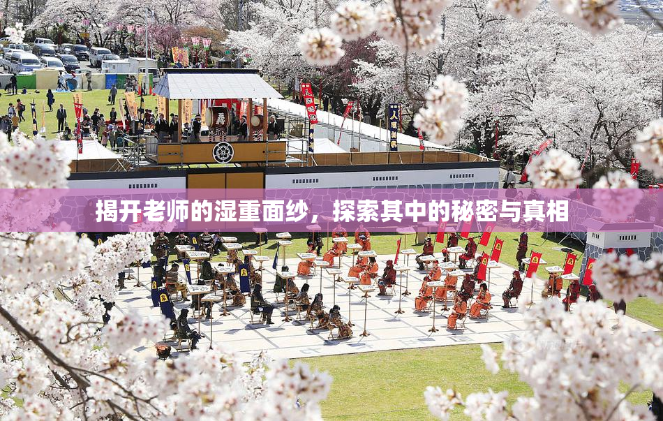揭开老师的湿重面纱，探索其中的秘密与真相