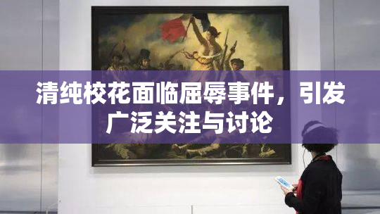 清纯校花面临屈辱事件，引发广泛关注与讨论