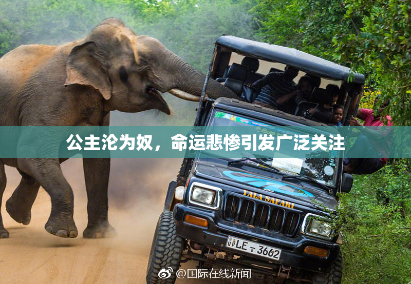 公主沦为奴，命运悲惨引发广泛关注