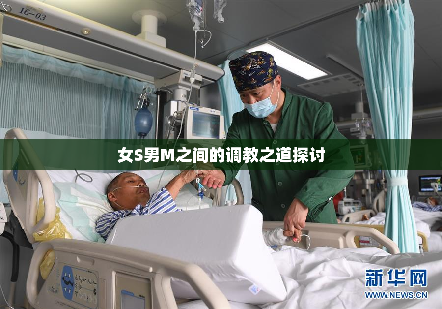 女S男M之间的调教之道探讨