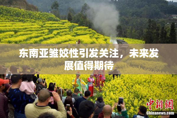 东南亚雏姣性引发关注，未来发展值得期待