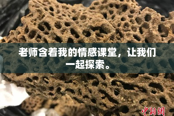 老师含着我的情感课堂，让我们一起探索。