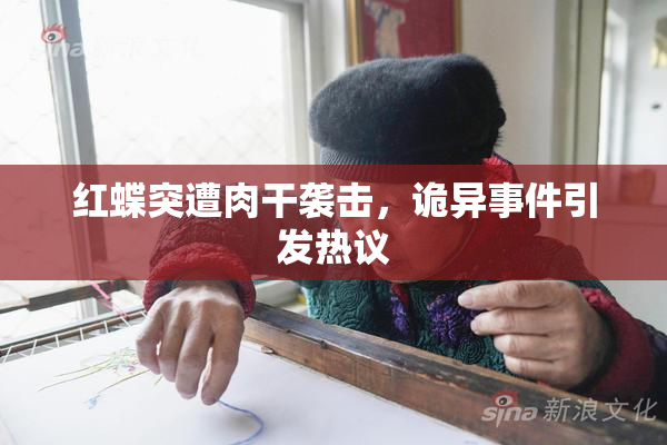 红蝶突遭肉干袭击，诡异事件引发热议