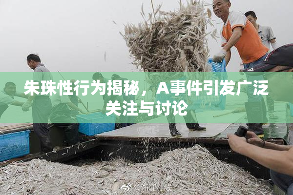 朱珠性行为揭秘，A事件引发广泛关注与讨论