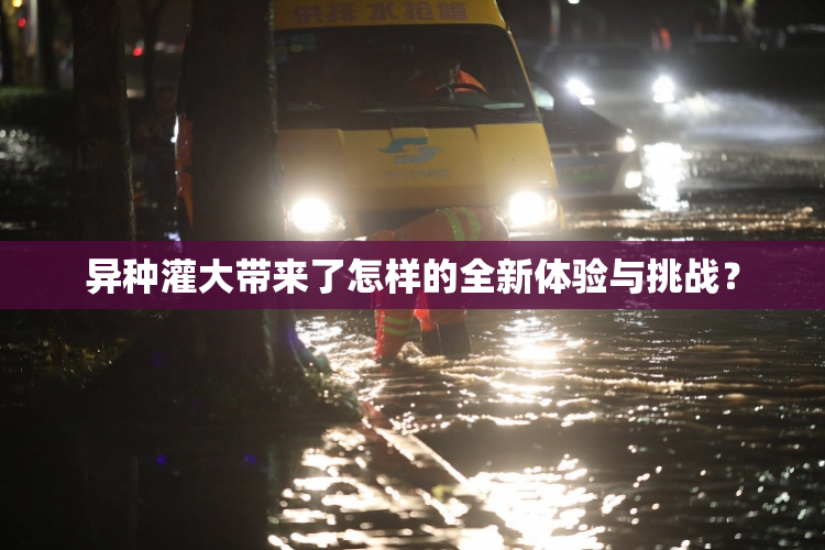 异种灌大带来了怎样的全新体验与挑战？