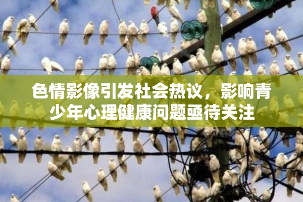 色情影像引发社会热议，影响青少年心理健康问题亟待关注