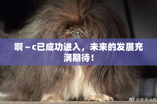 啊～c已成功进入，未来的发展充满期待！