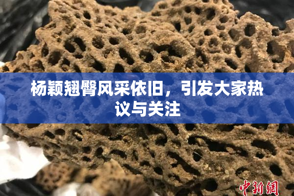 杨颖翘臀风采依旧，引发大家热议与关注
