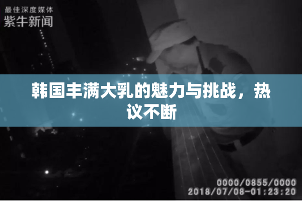 韩国丰满大乳的魅力与挑战，热议不断