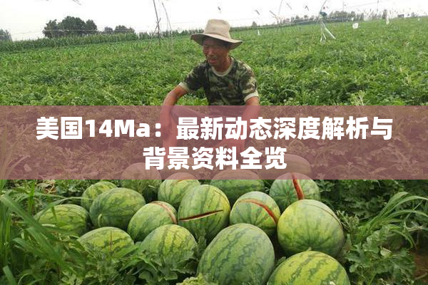 美国14Ma：最新动态深度解析与背景资料全览