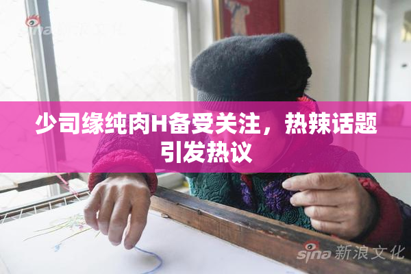 少司缘纯肉H备受关注，热辣话题引发热议
