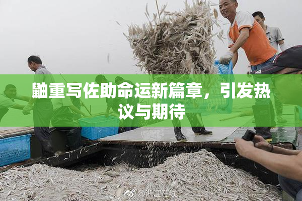鼬重写佐助命运新篇章，引发热议与期待