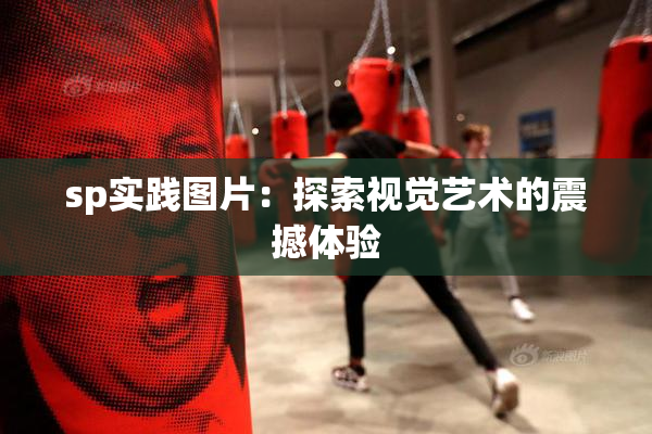 sp实践图片：探索视觉艺术的震撼体验
