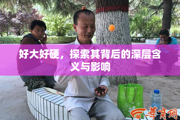 好大好硬，探索其背后的深层含义与影响