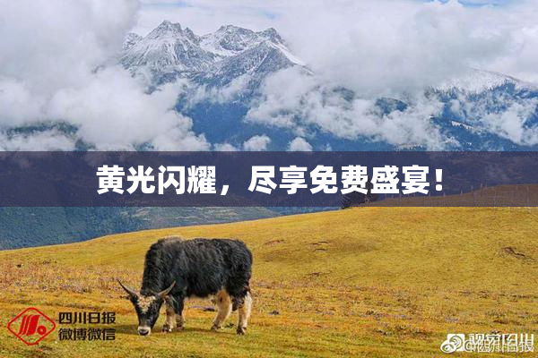 黄光闪耀，尽享免费盛宴！
