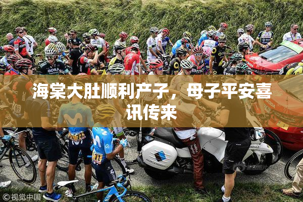 海棠大肚顺利产子，母子平安喜讯传来
