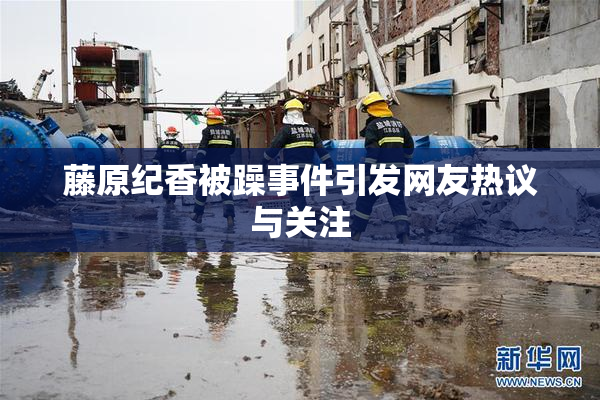 藤原纪香被躁事件引发网友热议与关注