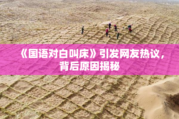 《国语对白叫床》引发网友热议，背后原因揭秘