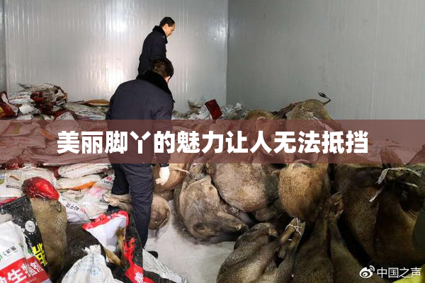 美丽脚丫的魅力让人无法抵挡