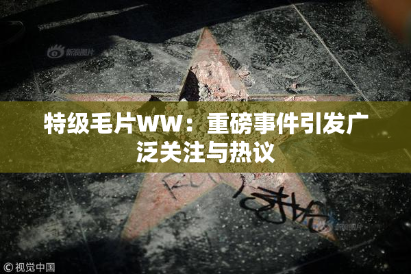 特级毛片WW：重磅事件引发广泛关注与热议