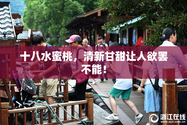 十八水蜜桃，清新甘甜让人欲罢不能！