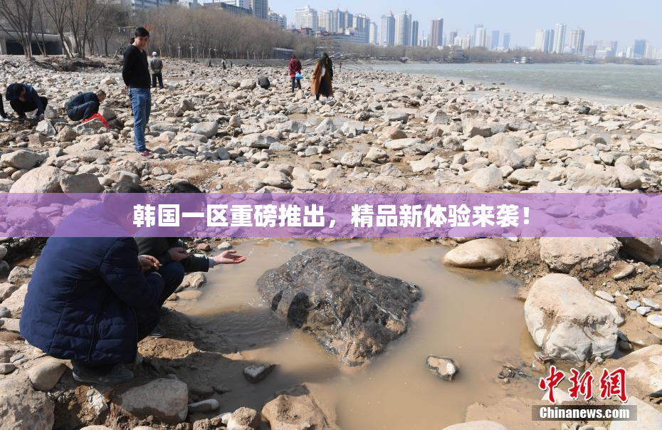 韩国一区重磅推出，精品新体验来袭！