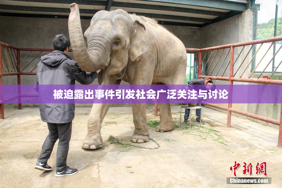 被迫露出事件引发社会广泛关注与讨论