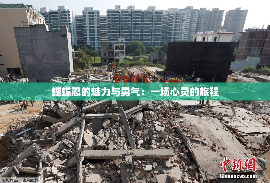 蝴蝶忍的魅力与勇气：一场心灵的旅程