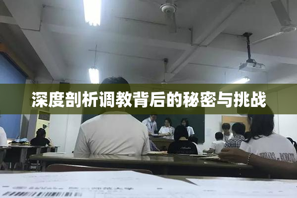 深度剖析调教背后的秘密与挑战