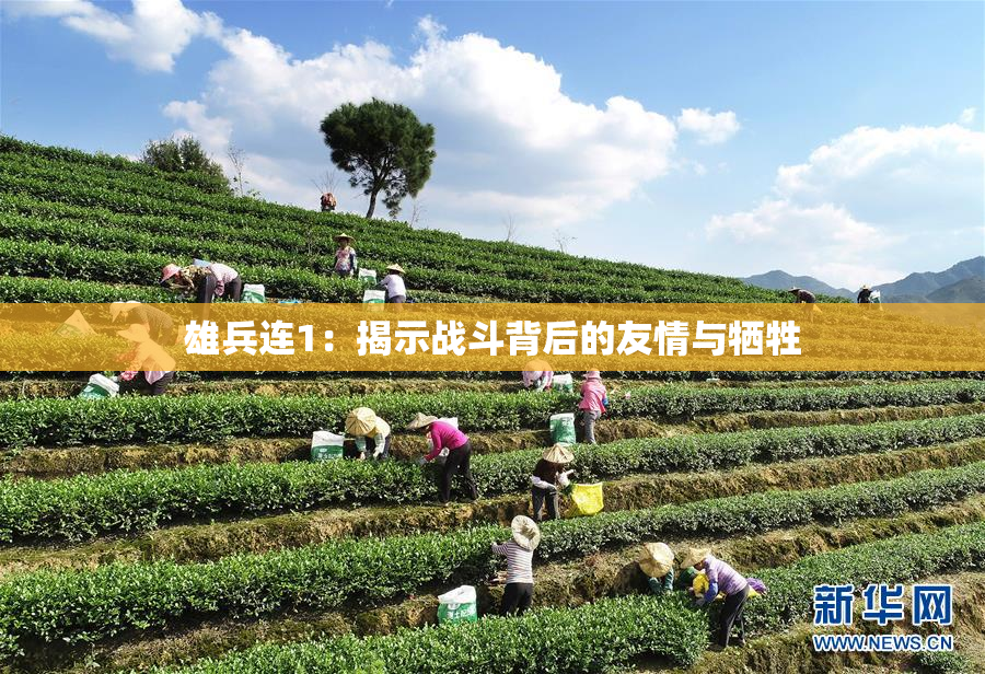 雄兵连1：揭示战斗背后的友情与牺牲