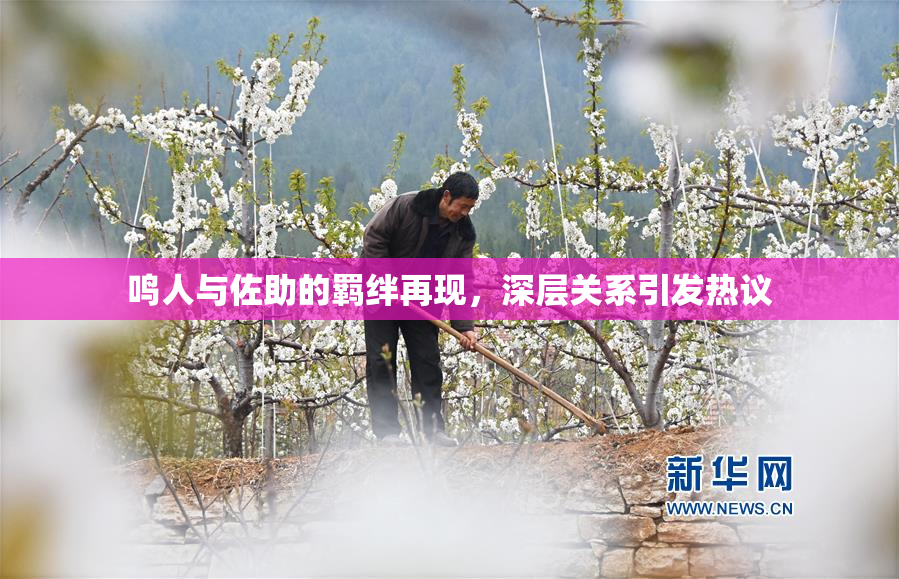 鸣人与佐助的羁绊再现，深层关系引发热议