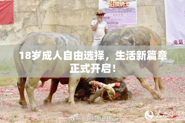 18岁成人自由选择，生活新篇章正式开启！