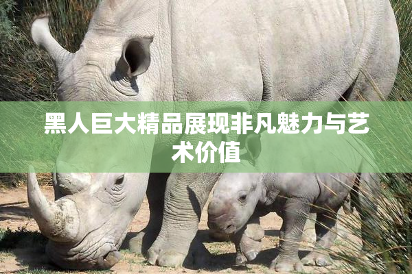 黑人巨大精品展现非凡魅力与艺术价值