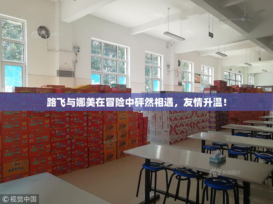 路飞与娜美在冒险中砰然相遇，友情升温！