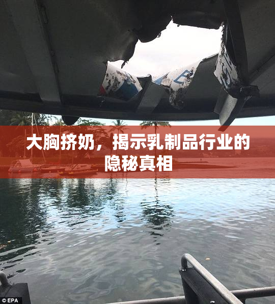大胸挤奶，揭示乳制品行业的隐秘真相