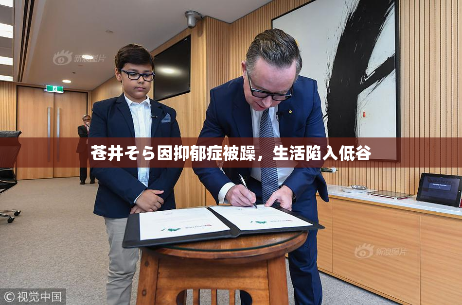 苍井そら因抑郁症被躁，生活陷入低谷