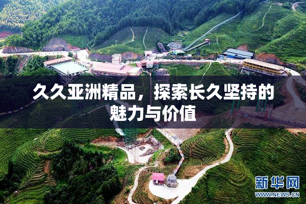 久久亚洲精品，探索长久坚持的魅力与价值