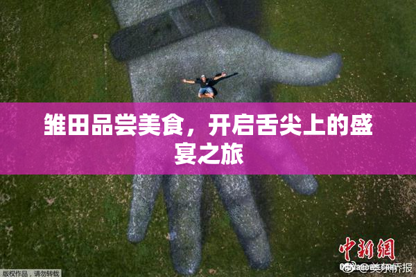 雏田品尝美食，开启舌尖上的盛宴之旅