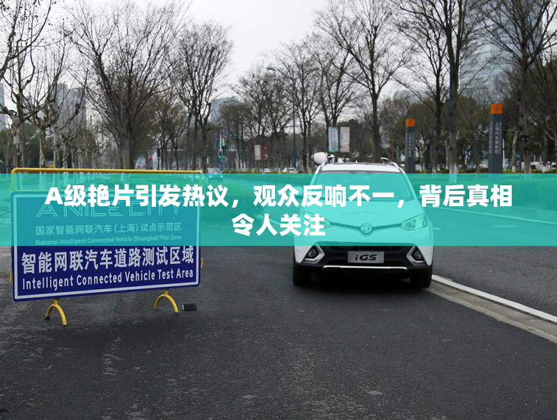 A级艳片引发热议，观众反响不一，背后真相令人关注