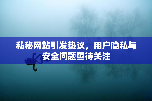 私秘网站引发热议，用户隐私与安全问题亟待关注