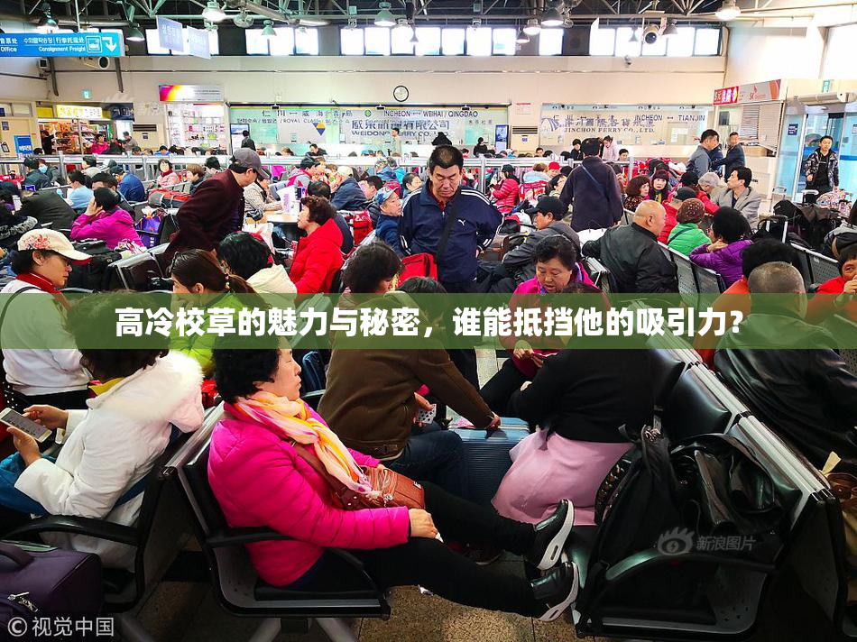 高冷校草的魅力与秘密，谁能抵挡他的吸引力？
